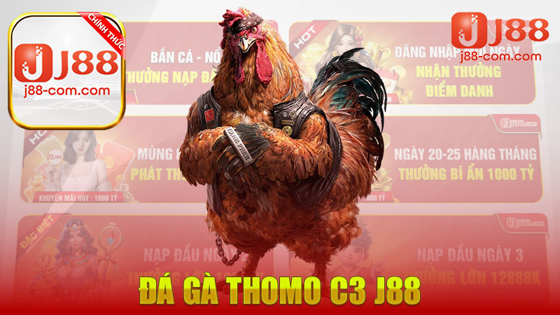 Đá Gà Thomo C3 J88 – Nơi Cung Cấp Các Trận Đấu Chất Lượng Cao